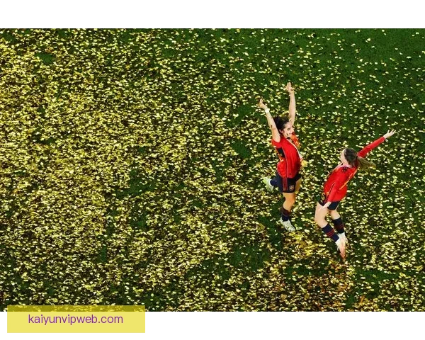 2026世界杯举办国家揭晓赛事亮点与主办城市全解析